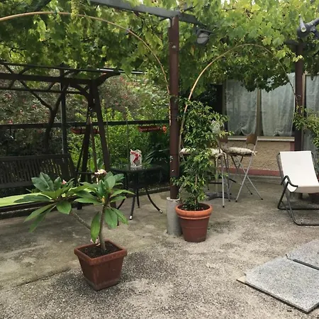 Borgo Delle Mimose Casa Di Zoe Apartment